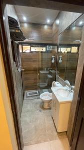 苏克雷Bernardo’s Departamento céntrico para 2 o hasta 3 personas的一间带卫生间、水槽和镜子的浴室