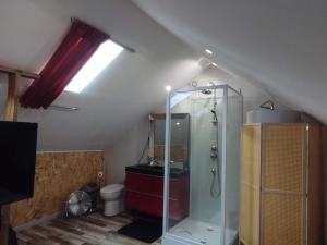 滨海贝尔克Gîte Sauna Balnéo Berck sur Mer Lâchez Prise的阁楼带淋浴的浴室