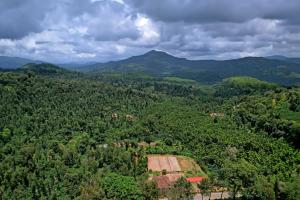 奇克马格尔Balekhan Homestay - Heritage & Mountain View的享有森林和山脉的空中景致