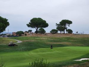 马尔科西蒙尼Ryder Cup 2023 Marco Simone Golf & Country Club a 100 mt dai Campi da Golf的一个人站在绿色的高尔夫球场上