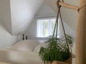 迪尔森-斯托科姆Zolder appartement Le Grenier的一间卧室,配有一张装有植物的篮子床
