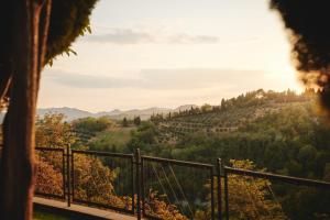 布里西盖拉Villa Liverzano的从享有阳光的山丘上欣赏葡萄园的景色