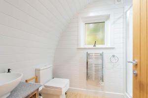 RamsdenThe Plough Inn Cabins的白色的浴室设有水槽和卫生间。