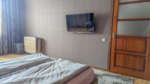 切尔尼戈夫Двухкомнатная Квартира на Пятницкой的卧室配有一张床,墙上配有电视。