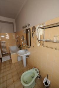 帕尔杜比采兹拉塔斯提卡酒店的一间带水槽和卫生间的浴室