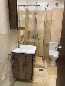 特尔戈维什泰Hotel Del Ponte的浴室配有盥洗盆、淋浴和卫生间