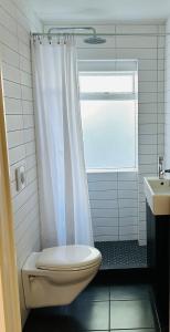 雷克雅未克塞姆公寓式酒店的浴室配有白色的浴帘和卫生间