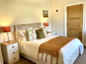 基尔基尔Mourne Country House Bed and Breakfast的一间卧室配有一张床和一个带灯的床头柜