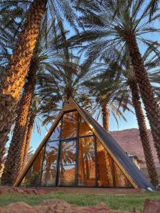 欧拉كوخ توتو الريفي的一座棕榈树的三角形房子