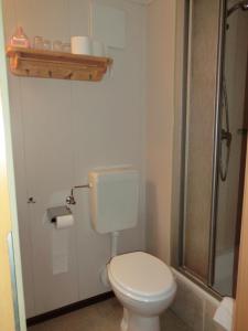 埃姆登科勒巴哈霍夫酒店的一间带卫生间和淋浴的小浴室