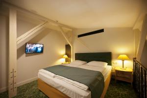 卡罗维发利安巴萨多纳罗迪德酒店的卧室配有一张床,墙上配有电视。