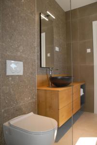 沃迪切Vodice For You - Holiday Homes的一间带水槽、卫生间和镜子的浴室