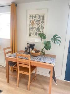 西雅图NEW private tiny home near GreenLake/Lightrail/I-5的餐桌,两把椅子,植物