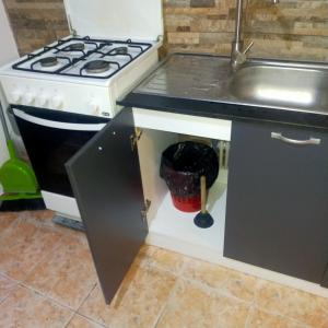 布加勒斯特Vila ELENA Ap 1的厨房配有水槽和炉灶