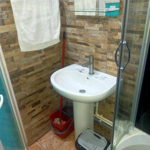 布加勒斯特Vila ELENA Ap 1的一间带水槽和淋浴的浴室