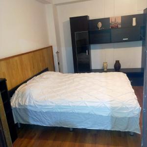 布加勒斯特Vila ELENA Ap 1的卧室配有白色的床