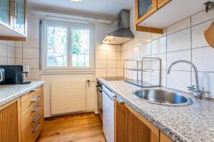 莱克斯LAAX Homes - Casa Gronda 2的厨房设有水槽和窗户。
