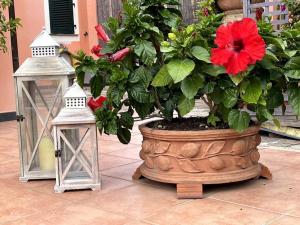 斯培西亚Annali Casa vacanze - Shabby style nella natura的两盏灯旁的盆里红花
