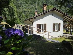 FrascoVerzasca: Casa Sonia的紫色花花园里的白色小房子