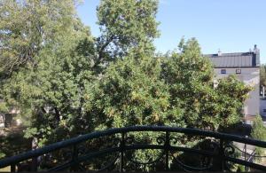 卢布林Zamojska Residence Apartments的阳台享有部分树木的景致。