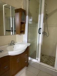 利隆圭Amethyst bed and breakfast的一间带水槽和淋浴的浴室