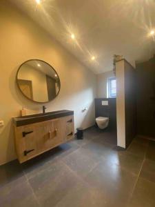 WesterbeekUt-Huuske的浴室设有镜子、盥洗盆和卫生间