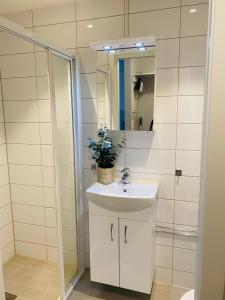 桑讷菲尤尔Moderne leilighet i sentrum av Sandefjord的一间带水槽和镜子的浴室