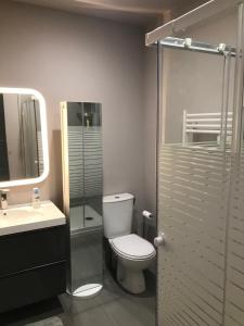 旺斯Studio indépendant的一间带卫生间和玻璃淋浴间的浴室