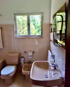 布拉加Mélita Guesthouse的一间带水槽和卫生间的浴室以及窗户。