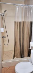 基辅Lisova - Лісова готельня і сауна的带淋浴帘和卫生间的浴室