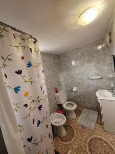 圣卡洛斯-德巴里洛切RyG Apartments的浴室设有卫生间和带蝴蝶的浴帘