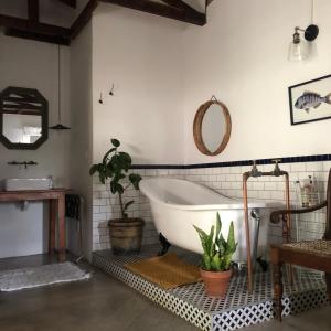 普利登堡湾Urban Plett的带浴缸和植物的浴室