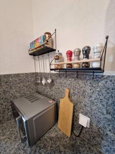 巴德哥依斯恩Appartement 214 in Bad Goisern的厨房柜台配有微波炉和烤面包机。