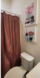 夏洛特Luxurious 3 Story Townhome的浴室设有卫生间和棕色的淋浴帘
