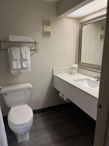 西棕榈滩88 Palms Hotel & Event Center的一间带卫生间、水槽和镜子的浴室