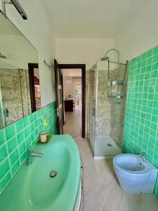 帕代诺杜尼亚诺Grazioso Bilocale alle Porte di Milano的一间带绿色浴缸和淋浴的浴室