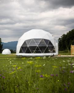 Dolný KamenecGlamping Resort的花田里的一个白色大帐篷