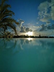 卡佩斯特雷贝勒奥Le Colibri d'isa的棕榈树游泳池的日落