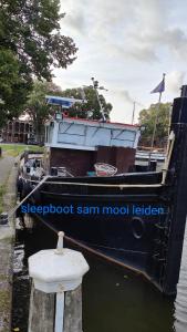 莱顿mooi leiden的停泊在水面码头的船只