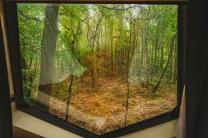 JurbiseUtopia Village - Art & Nature Lodges的享有森林景致的窗户
