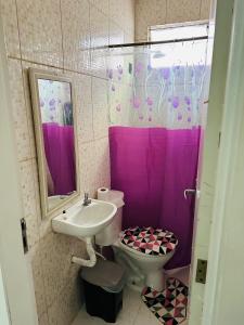 贝伦Hostel das Flores的浴室配有水槽、卫生间和紫色淋浴帘