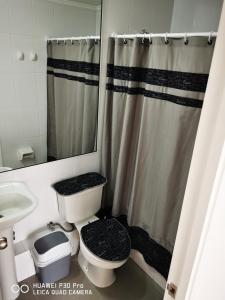 伊基克Sensacional Departamento cerca Zofri 2 Habitaciones 2 Baños Iquique的一间带卫生间和淋浴帘的浴室