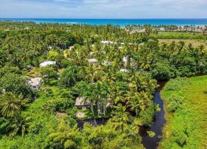 喀巴里特Kibayo Lagoon Villa的享有棕榈树和河流的度假胜地的空中景致