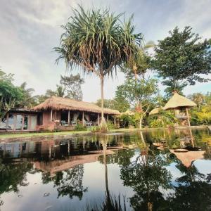 塞莱马德加Bali Beach Eco Villas Pondok Matekap的水边有棕榈树的房子