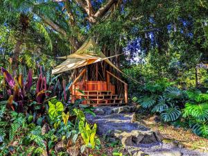 帕霍阿Kehena Mauka Nui Club LGBTQIA+ Clothing Optional的森林中间的树屋