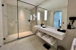 布鲁塞尔OPO Hotel的带淋浴、盥洗盆和镜子的浴室
