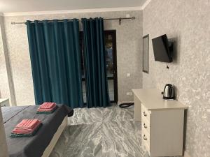 古达乌塔Отель Гудоу的一间卧室配有一张床、一台电视和一张书桌