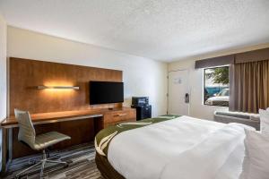 奥兰多Quality Inn & Suites Downtown的酒店客房配有一张床、一张书桌和一台电视。
