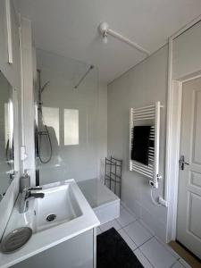 埃尔伯夫François Mitterrand 2的白色的浴室设有水槽和淋浴。