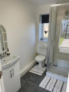 谢菲尔德The Cubley Retreat的浴室配有卫生间、盥洗盆和淋浴。